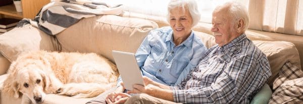 Full length portrait of modern senior couple using laptop while sitting with dog on couch at home